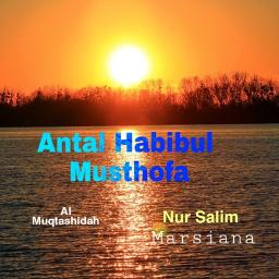 Antal Habibul Mushofa Lyrics And Music By Al Muqtashidah Arranged By Ne Ng