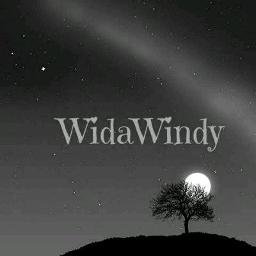 Dalam Diam Aku Mencintaimu Lirik : Ada 20 gudang lagu dalam diam aku