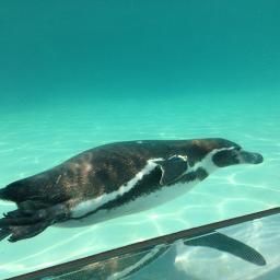 ボーイフレンド aiko Lyrics And Music By Null Arranged By Misa Nmnl ボーイフレンド aiko Lyrics And Music By Null Arranged By Misa Nmnl