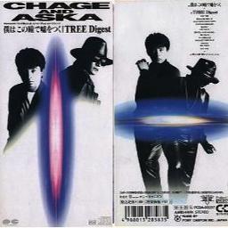 僕はこの瞳で嘘をつく Lyrics And Music By Chage Aska Arranged By Ryanmetal