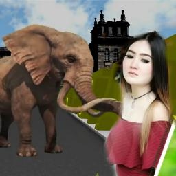 Ada Gajah Dibalik Batu Lyrics And Music By Wali Arranged By Ridho Tuba Egv