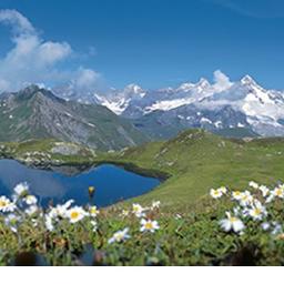 エーデルワイス Lyrics And Music By 合唱曲 Arranged By Pirikarakimuchi