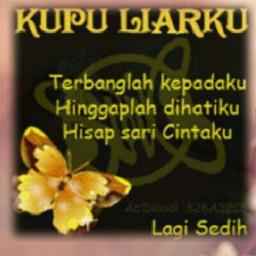 Slank Kupu Kupu Liar Acoustic Cover By Breilham By 234 Fonda And Uink3roet On Smule